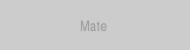 small-icon-mate
